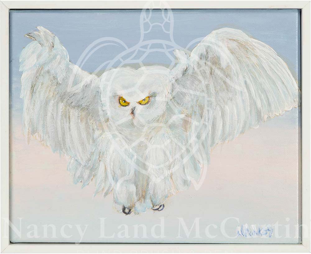 Headwigg - Digital Art Download by Nancy Land McCurtin